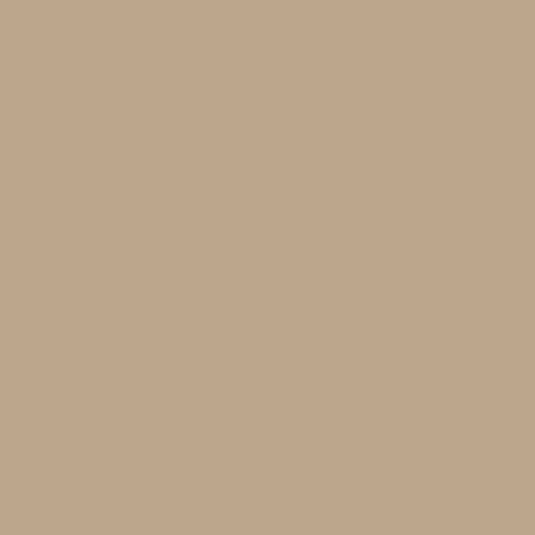 1033 Hillsborough Beige - Paint Color