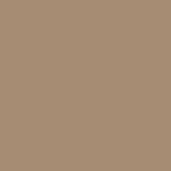 1034 Clay - Paint Color