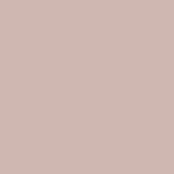 1242 Sonoma Clay - Paint Color
