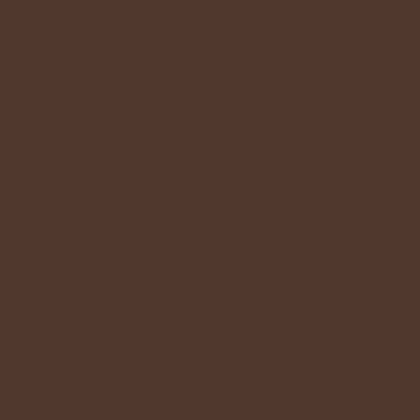 CW-165 Coffeehouse Chocolate - Paint Color
