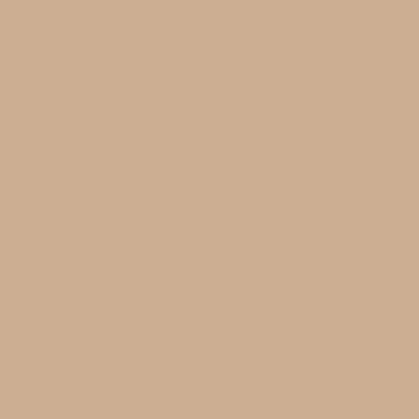 CW-190 Raleigh Tan - Paint Color