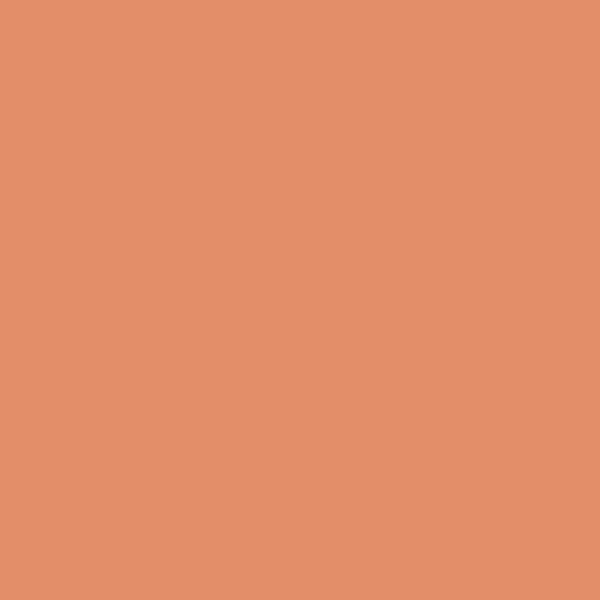 075 Flamingo Orange - Paint Color