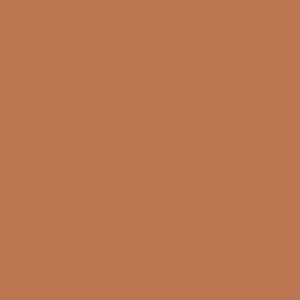 104 Sienna Clay - Paint Color