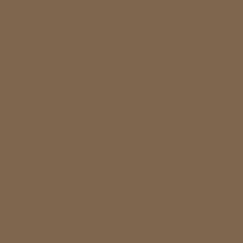 1127 Sedona Brown - Paint Color