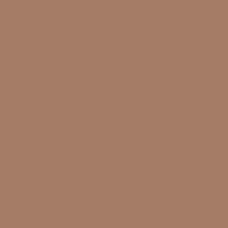 1161 Birchwood - Paint Color