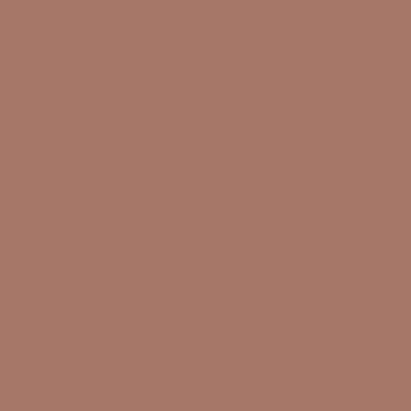 1182 Drenched Sienna - Paint Color