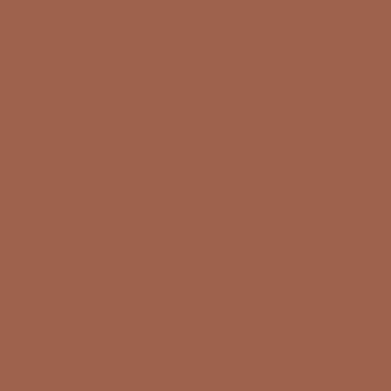 1196 Burnt Sienna - Paint Color