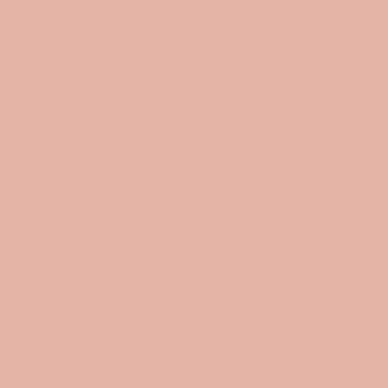 1199 Peach Mousse - Paint Color