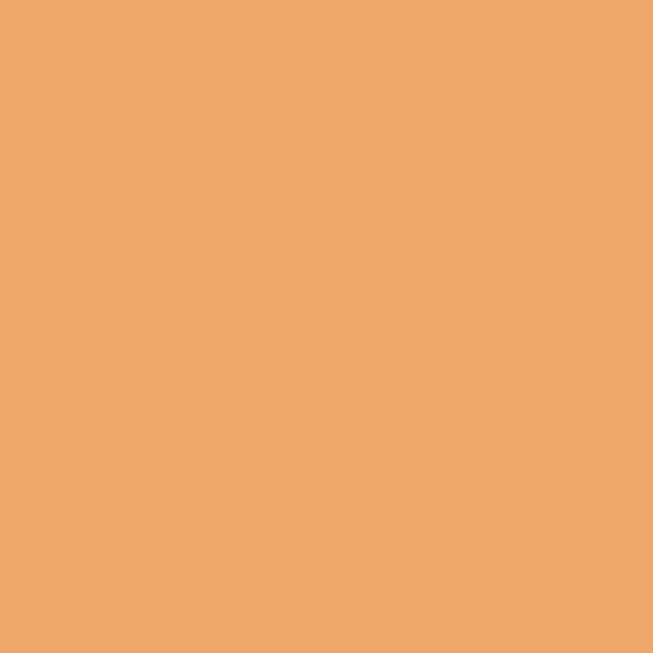 124 Orange Appeal - Paint Color