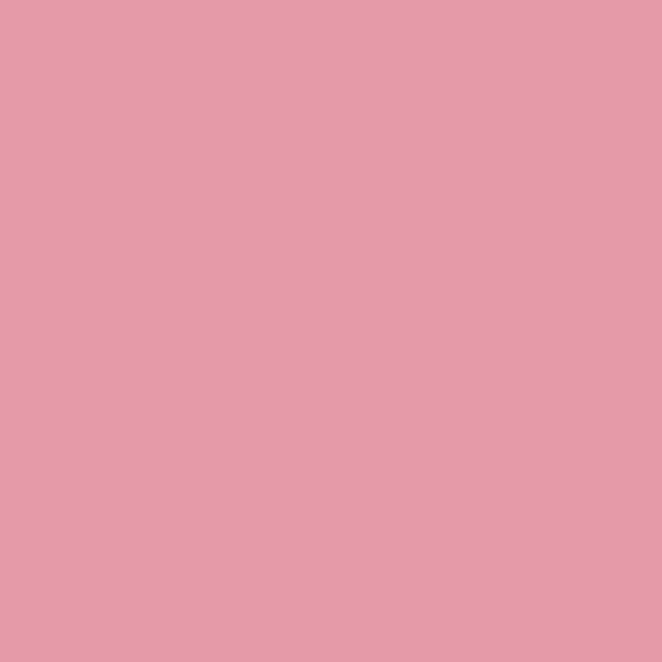 1340 Pink Ribbon - Paint Color