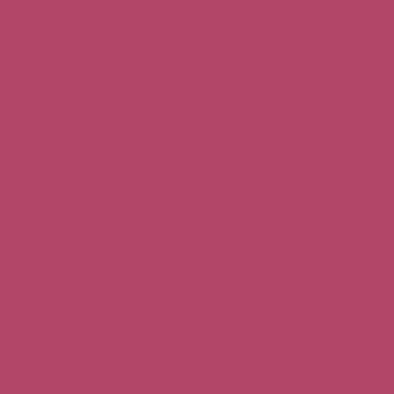 1349 Pink Corsage - Paint Color