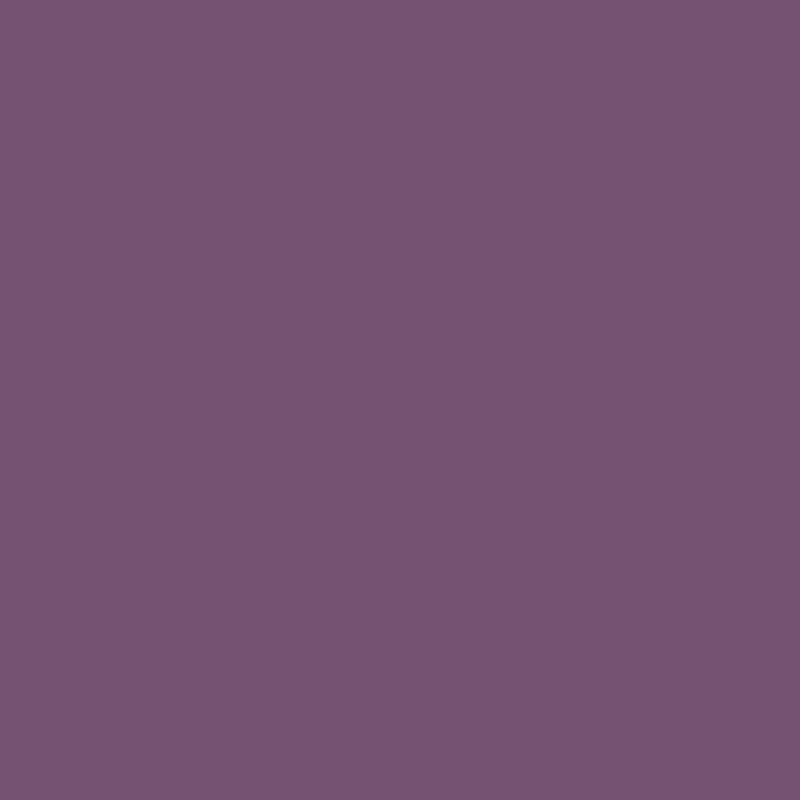 1372 Ultra Violet - Paint Color