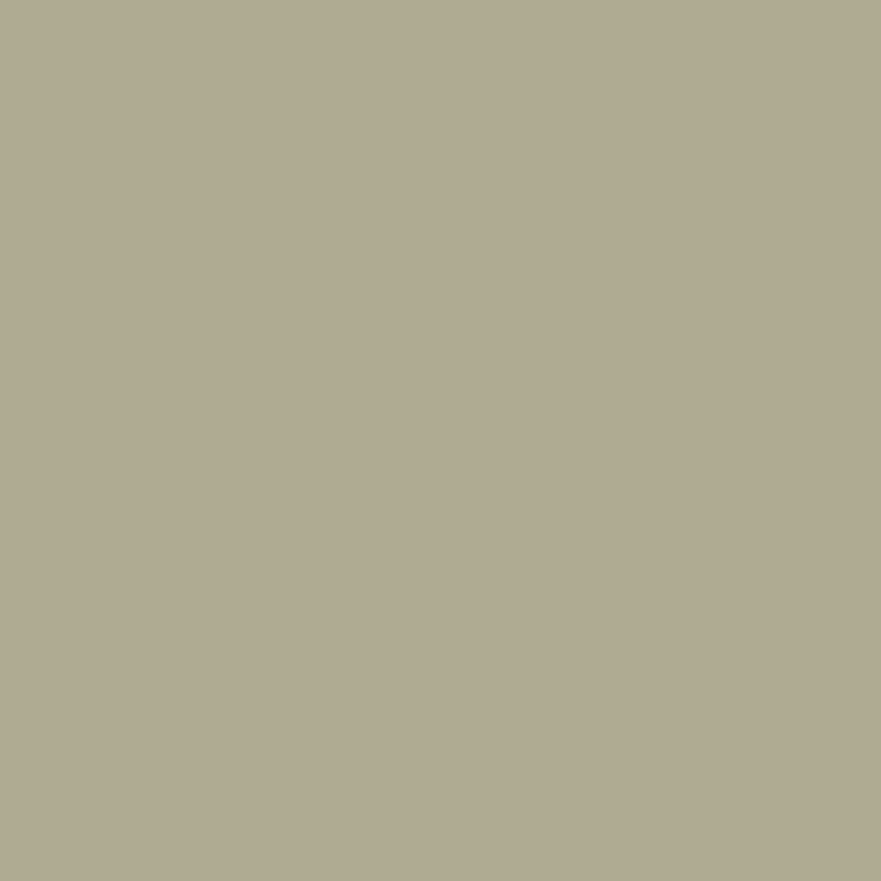 1502 Cheyenne Green - Paint Color