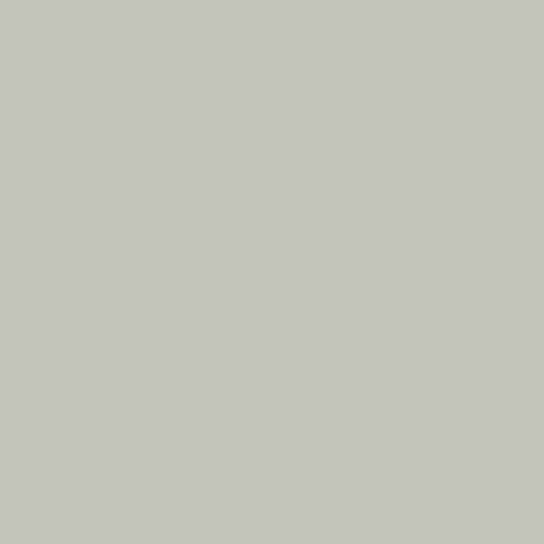 1557 Silver Song - Paint Color