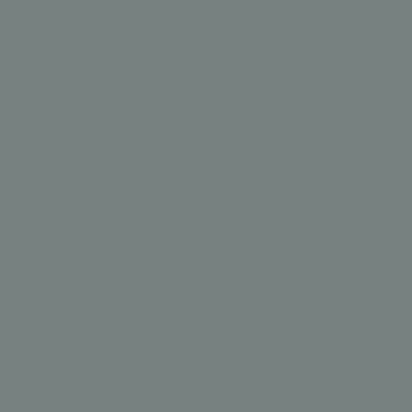 1588 Gray Pinstripe - Paint Color