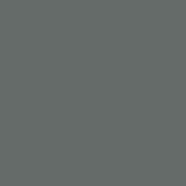 1589 Kitty Gray - Paint Color