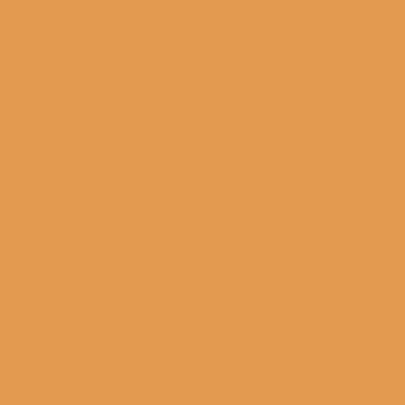 161 Brilliant Amber - Paint Color