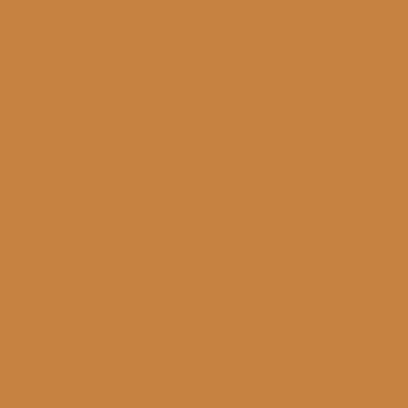 168 Amber - Paint Color