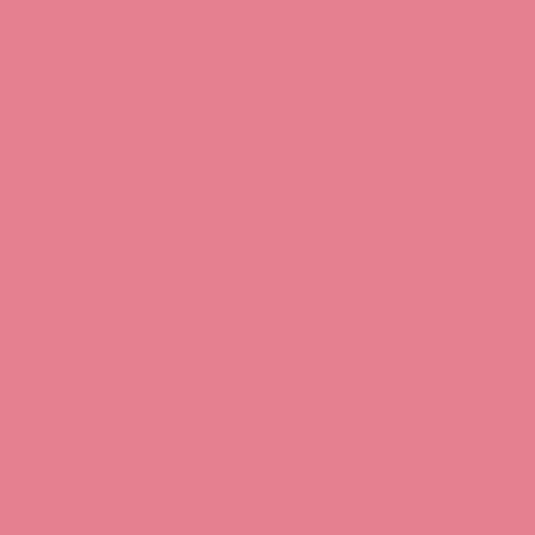 2004-40 Pink Starburst - Paint Color