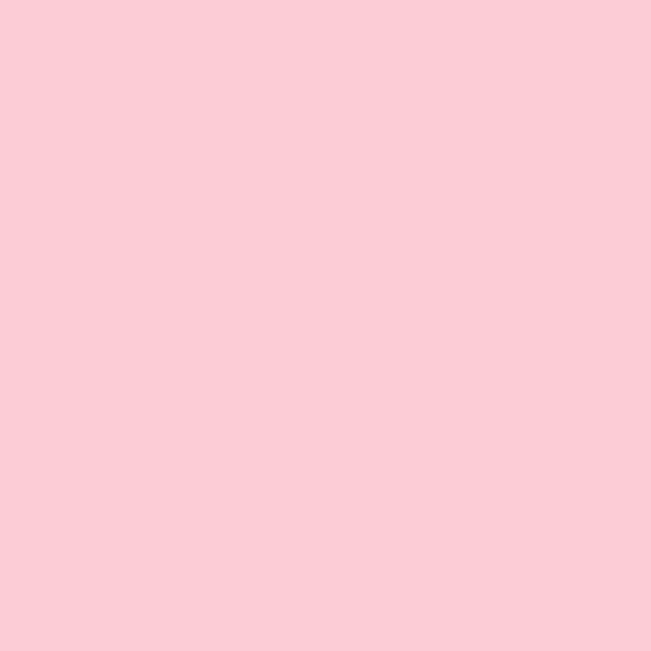 2004-60 Pink Parfait - Paint Color