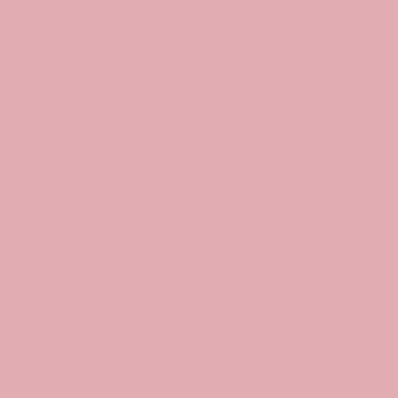2005-50 Pink Eraser - Paint Color