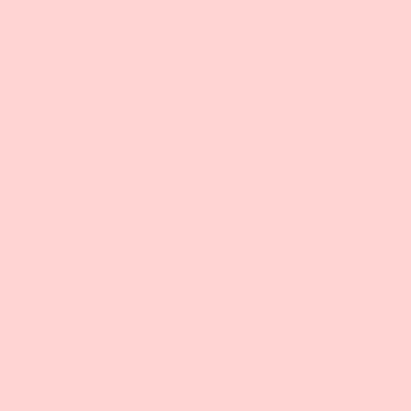 2009-60 Pink Sea Shell - Paint Color