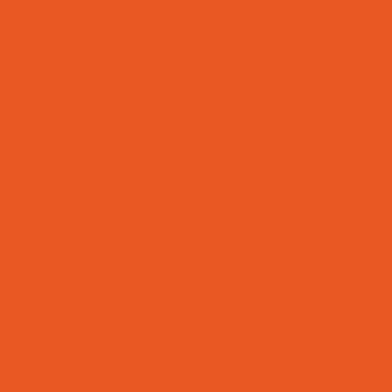 2014-10 Festive Orange - Paint Color