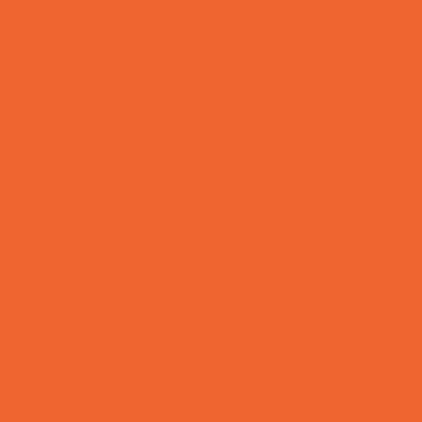 2014-20 Rumba Orange - Paint Color