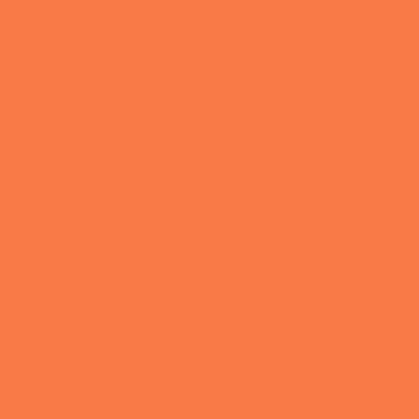 2014-30 Tangy Orange - Paint Color