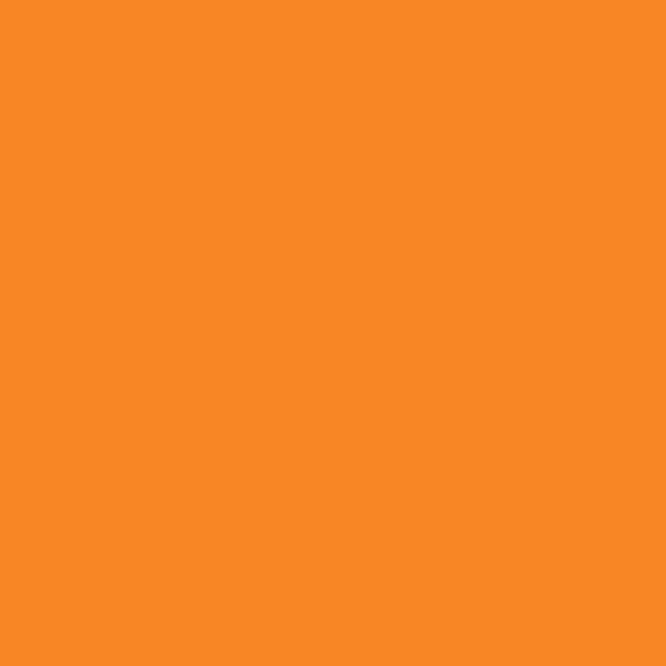 2016-20 Citrus Orange - Paint Color