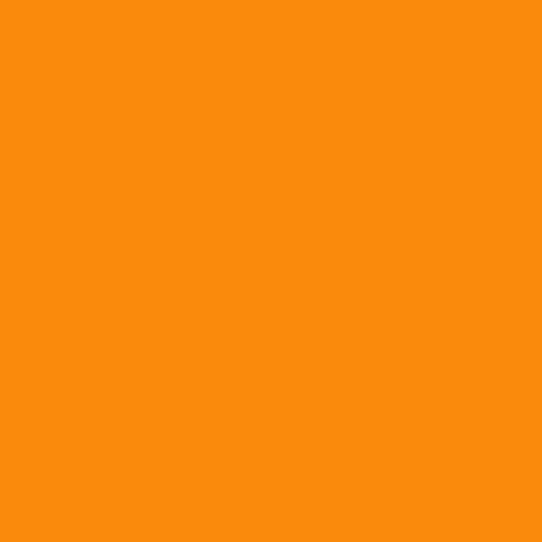 2017-10 Orange Juice - Paint Color