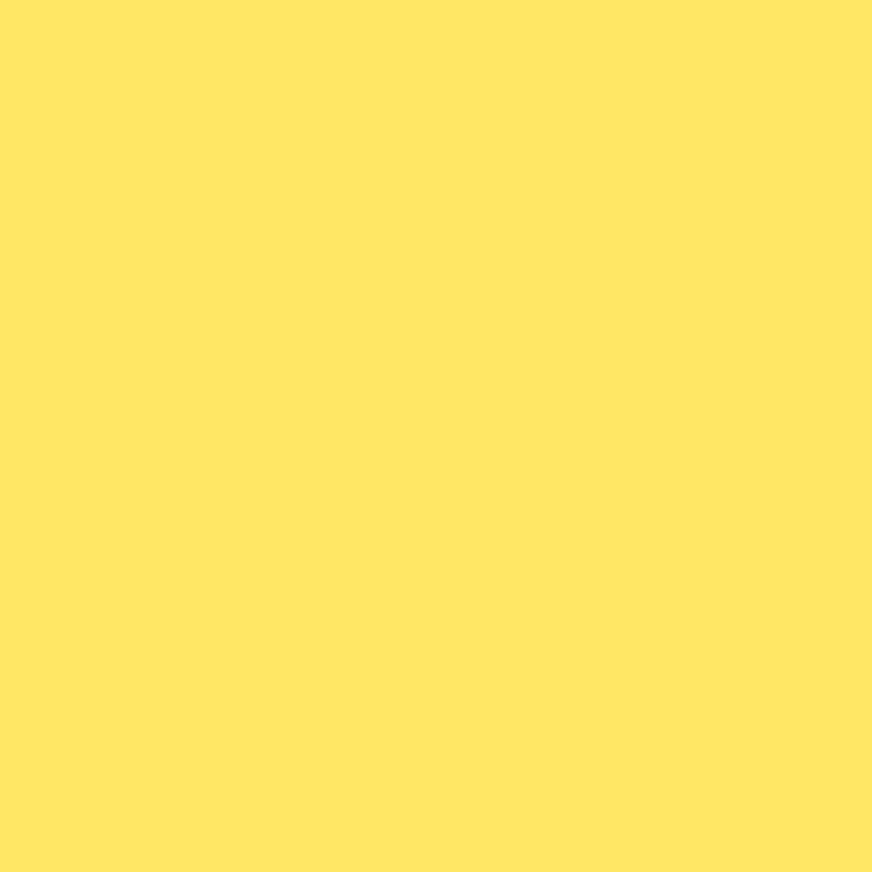 2022-40 Banana Yellow - Paint Color