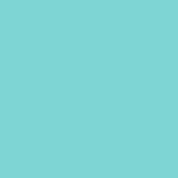 2048-50 Tropicana Cabana - Paint Color