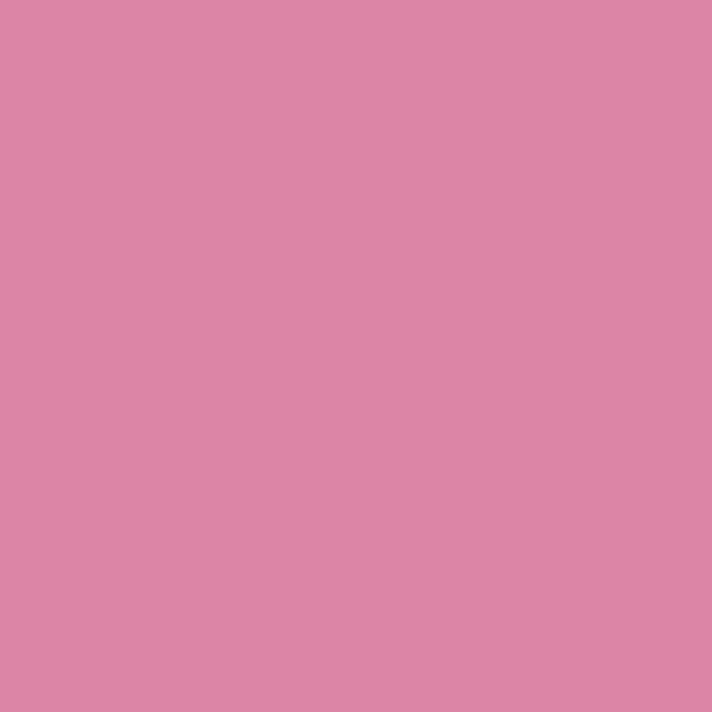 2078-40 Paradise Pink - Paint Color
