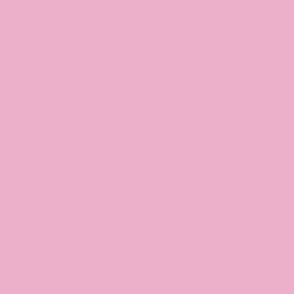 2078-50 Pink Begonia - Paint Color
