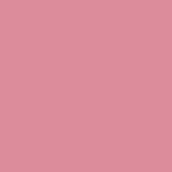 2081-40 Pink Blossom - Paint Color