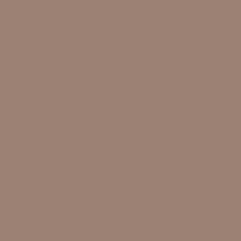 2106-40 Cougar Brown - Paint Color