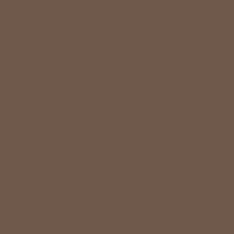 2107-30 Rockies Brown - Paint Color