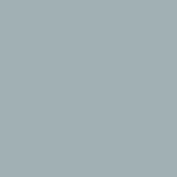 2131-50 Nimbus Gray - Paint Color