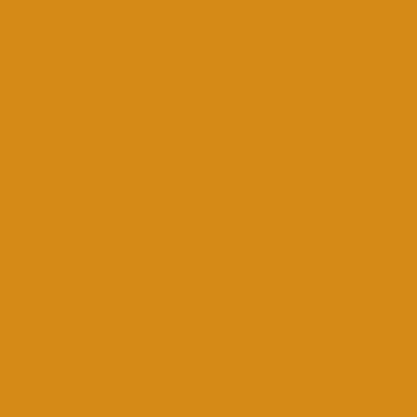 2155-10 Desert Sunset - Paint Color