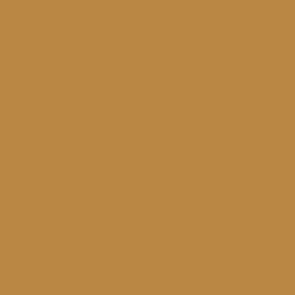 2160-20 Turmeric - Paint Color