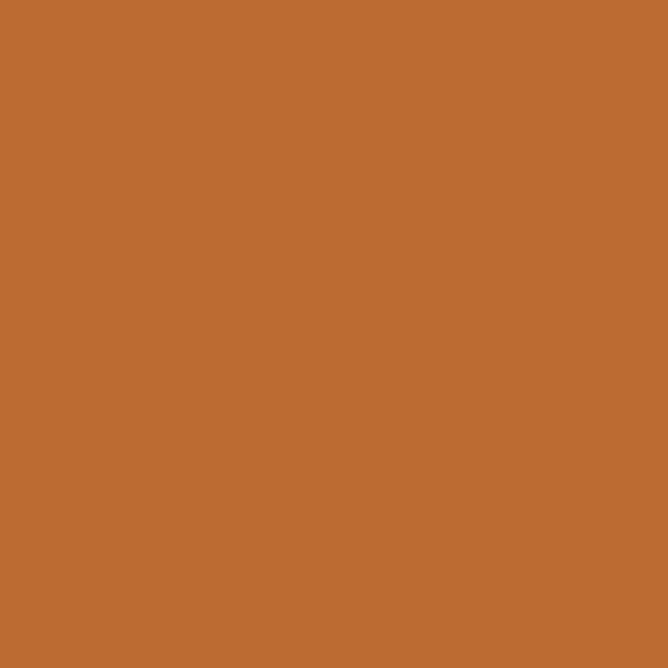 2166-20 Caramel Latte - Paint Color