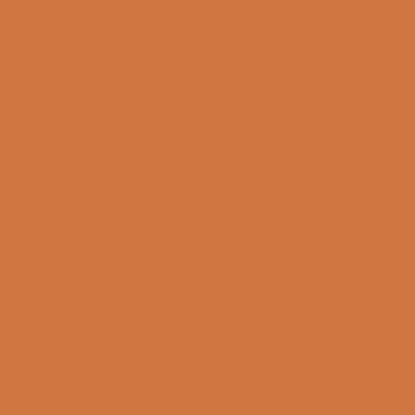 2167-20 Pumpkin Pie - Paint Color
