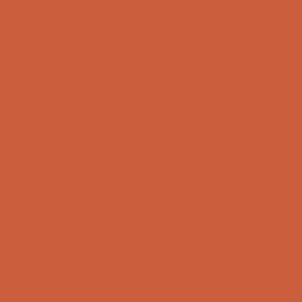 2170-20 Tropical Orange - Paint Color