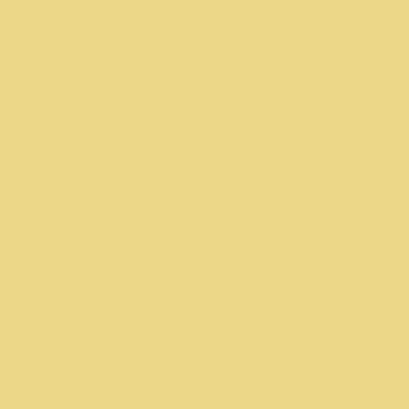 291 Laguna Yellow - Paint Color