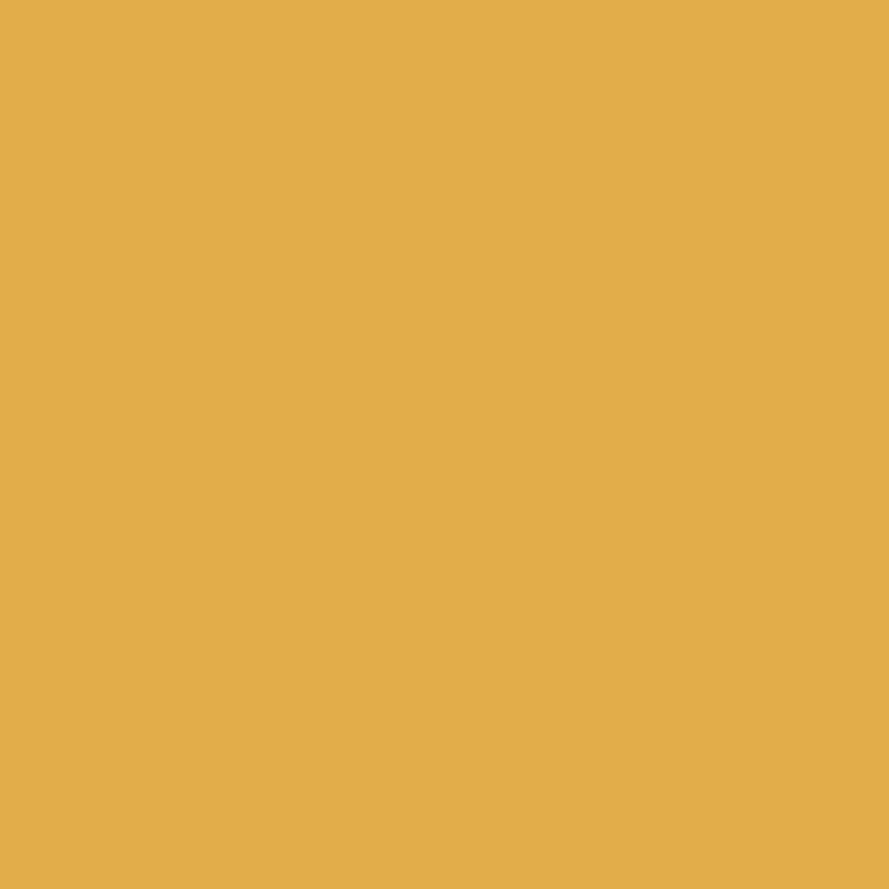 301 Glen Ridge Gold - Paint Color