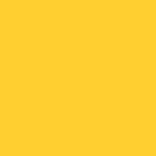 321 Viking Yellow - Paint Color
