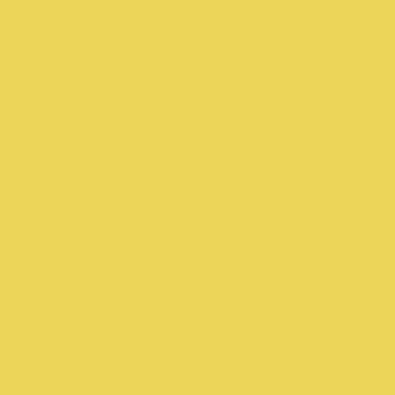 355 Majestic Yellow - Paint Color