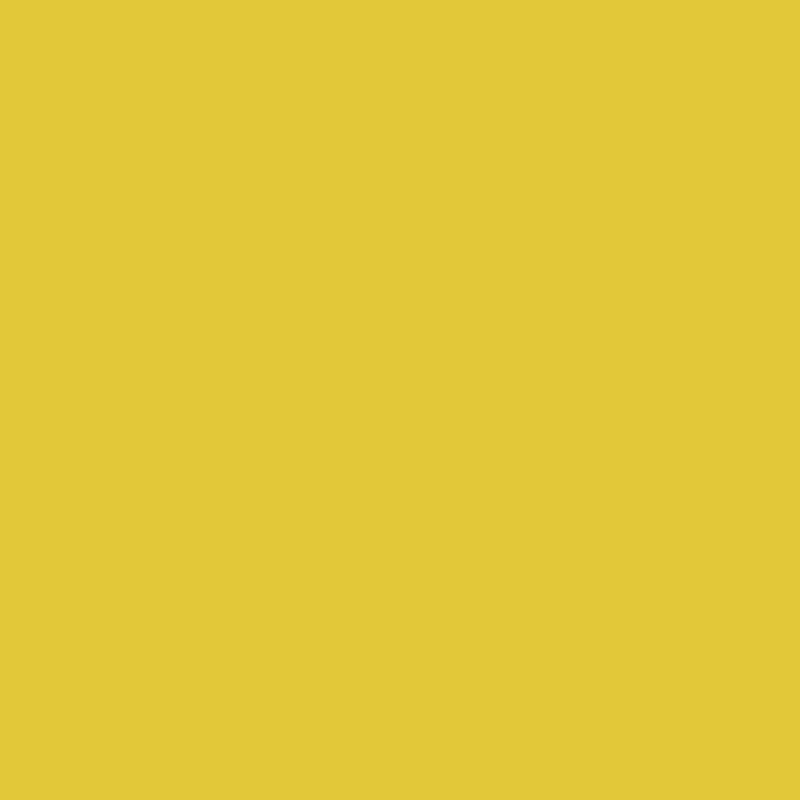 357 Yellow Hibiscus - Paint Color
