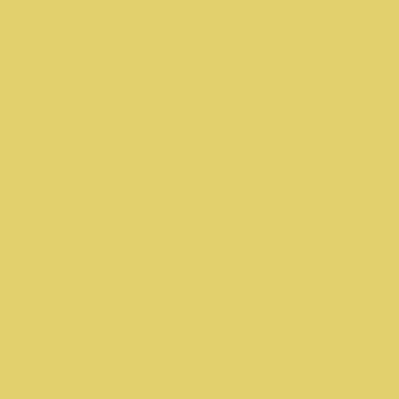 370 Yellow Tone - Paint Color